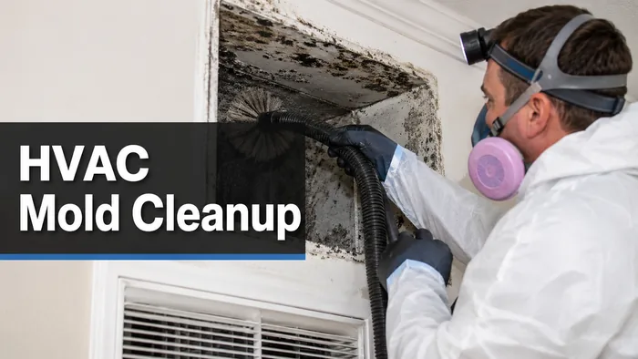 Professional mold remediation work representative of projects in Milwaukee, WI