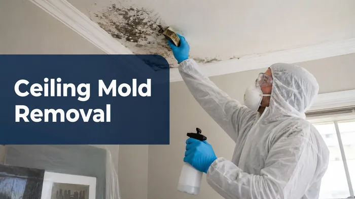 Professional treating mold on a residential ceiling