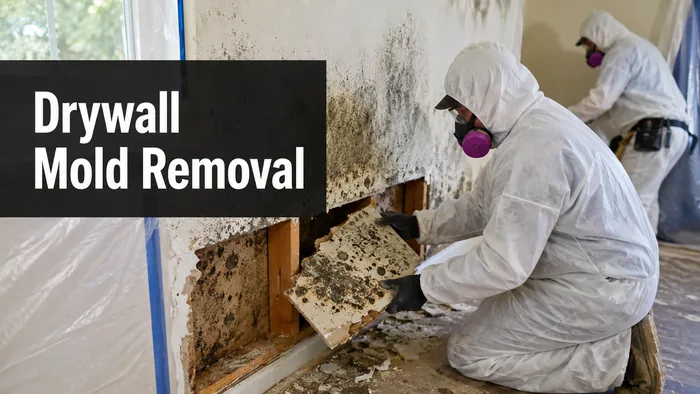 Remediation worker removing mold-contaminated drywall