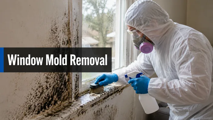 Professional mold remediation work representative of projects in Fresno, CA